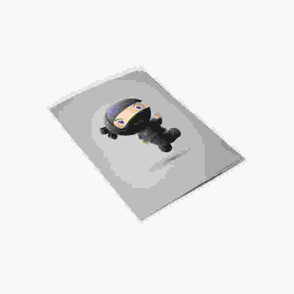Flying Ninja – Image 2